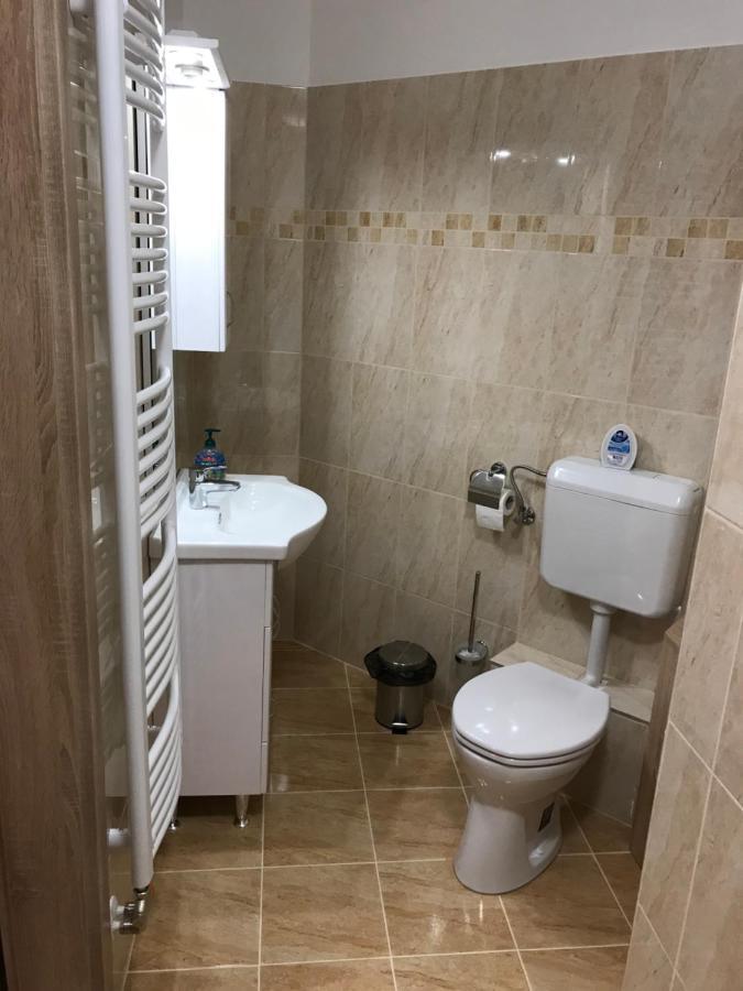 Matyas Vendeghaz 3 Rooms Apartment Kópháza エクステリア 写真